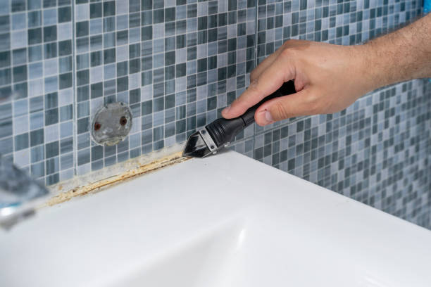 Best Office Mold Removal Services  in Independence, LA