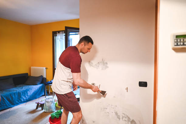 Best Same-Day Mold Removal  in Independence, LA
